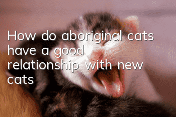How do aboriginal cats have a good relationship with new cats?