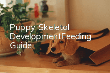 Puppy Skeletal Development—Feeding Guide
