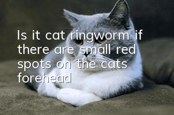 Is it cat ringworm if there are small red spots on the cat’s forehead?
