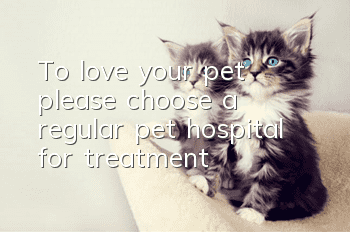 To love your pet, please choose a regular pet hospital for treatment!
