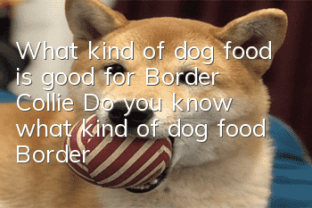 What kind of dog food is good for Border Collie? Do you know what kind of dog food Border Collie should eat?
