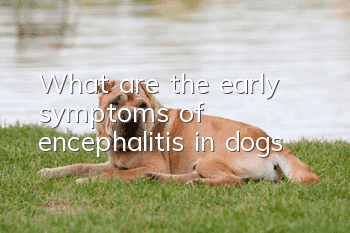 What are the early symptoms of encephalitis in dogs?