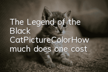 The Legend of the Black Cat_Picture_Color_How much does one cost?