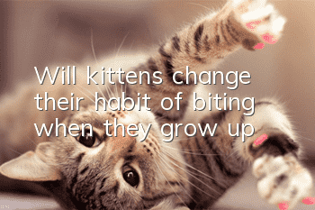 Will kittens change their habit of biting when they grow up?