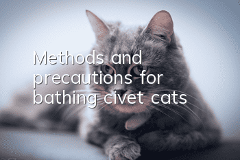Methods and precautions for bathing civet cats