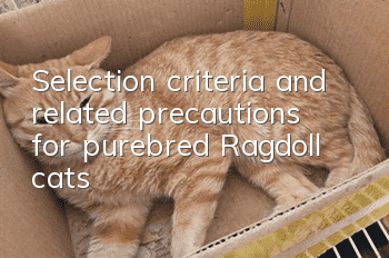 Selection criteria and related precautions for purebred Ragdoll cats