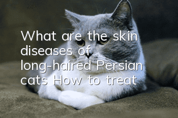 What are the skin diseases of long-haired Persian cats? How to treat?