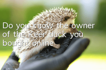 Do you know the owner of the Keer duck you bought online?
