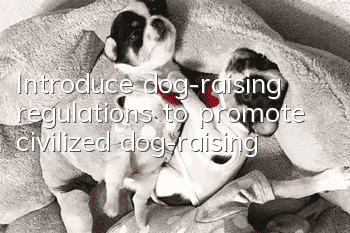 Introduce dog-raising regulations to promote civilized dog-raising