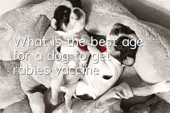 What is the best age for a dog to get rabies vaccine?