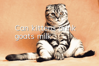 Can kittens drink goat's milk?