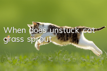 When does unstuck cat grass sprout?