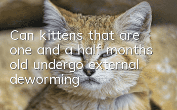 Can kittens that are one and a half months old undergo external deworming?