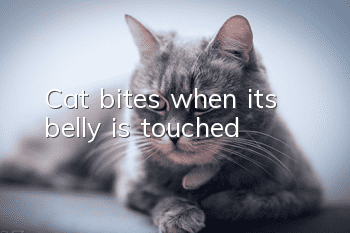 Cat bites when its belly is touched