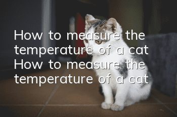 How to measure the temperature of a cat How to measure the temperature of a cat