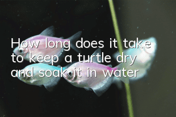How long does it take to keep a turtle dry and soak it in water?