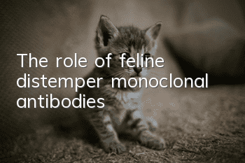 The role of feline distemper monoclonal antibodies