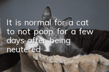 It is normal for a cat to not poop for a few days after being neutered