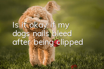 Is it okay if my dog’s nails bleed after being clipped?