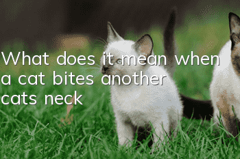 What does it mean when a cat bites another cat's neck?