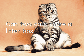 Can two cats share a litter box?