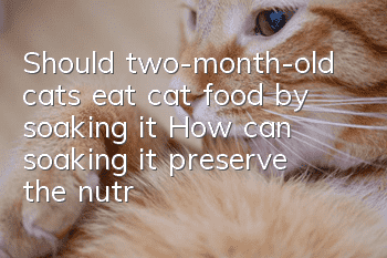 Should two-month-old cats eat cat food by soaking it? How can soaking it preserve the nutrients?