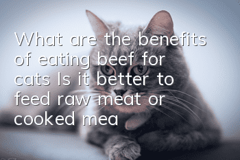 What are the benefits of eating beef for cats? Is it better to feed raw meat or cooked meat?