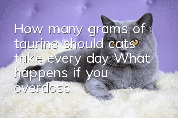 How many grams of taurine should cats take every day? What happens if you overdose?
