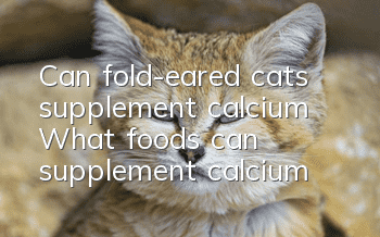 Can fold-eared cats supplement calcium? What foods can supplement calcium?