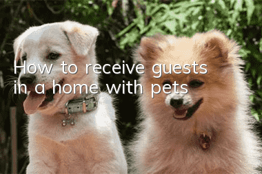 How to receive guests in a home with pets