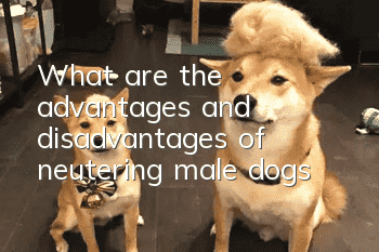 What are the advantages and disadvantages of neutering male dogs?