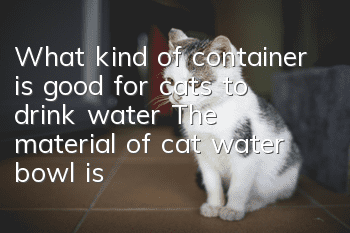 What kind of container is good for cats to drink water? The material of cat water bowl is also particular.