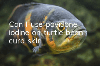 Can I use povidone iodine on turtle bean curd skin?