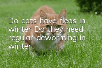 Do cats have fleas in winter? Do they need regular deworming in winter?