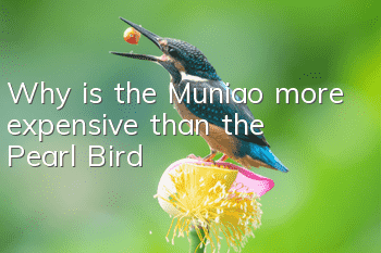 Why is the Muniao more expensive than the Pearl Bird?