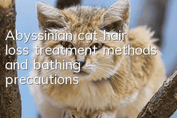 Abyssinian cat hair loss treatment methods and bathing precautions