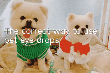 The correct way to use pet eye drops