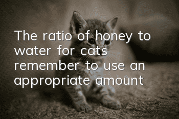 The ratio of honey to water for cats, remember to use an appropriate amount