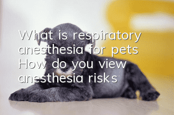 What is respiratory anesthesia for pets? How do you view anesthesia risks?