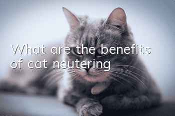 What are the benefits of cat neutering?