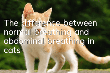 The difference between normal breathing and abdominal breathing in cats