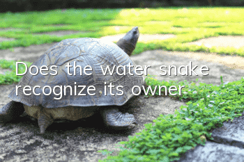 Does the water snake recognize its owner?