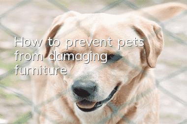 How to prevent pets from damaging furniture?