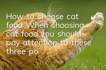 How to choose cat food? When choosing cat food, you should pay attention to these three points
