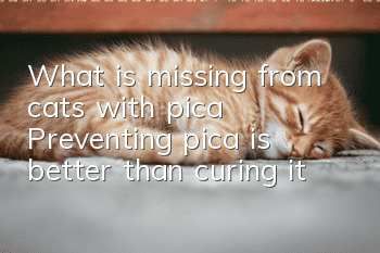 What is missing from cats with pica? Preventing pica is better than curing it