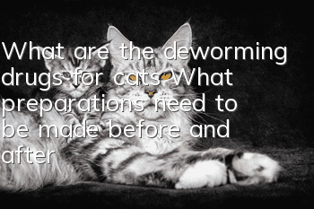 What are the deworming drugs for cats? What preparations need to be made before and after deworming?