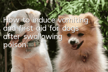 How to induce vomiting and first aid for dogs after swallowing poison?
