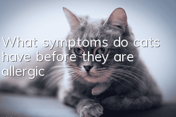 What symptoms do cats have before they are allergic?