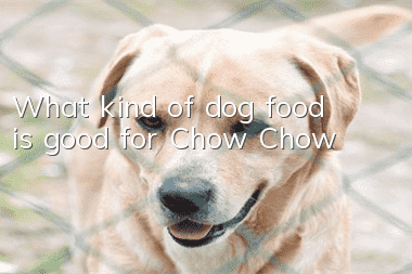 What kind of dog food is good for Chow Chow?