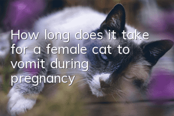 How long does it take for a female cat to vomit during pregnancy?
